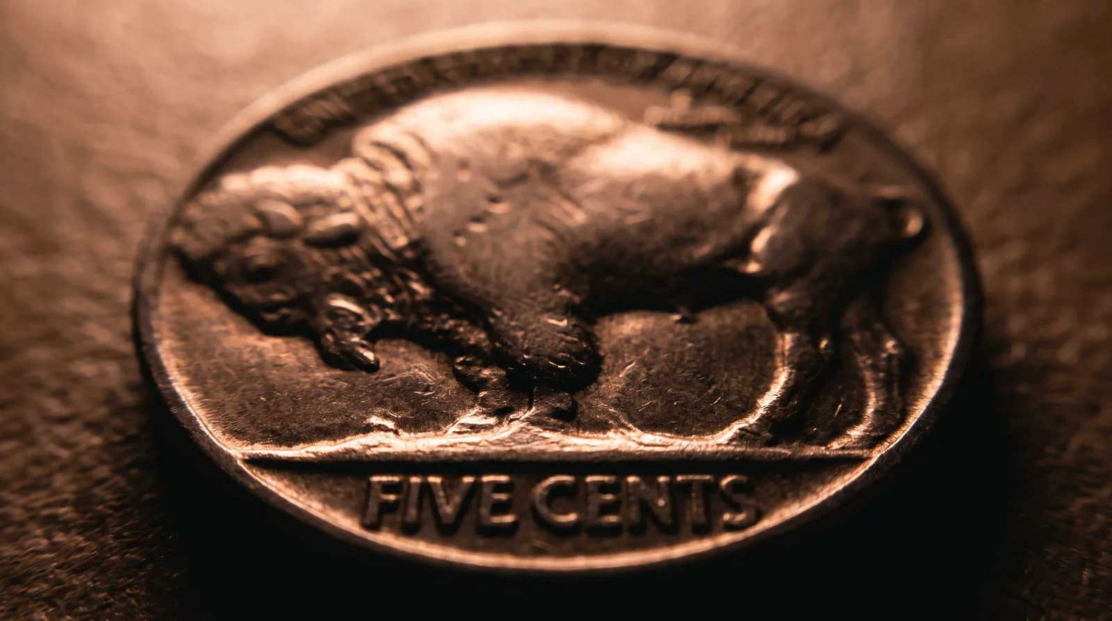 The reverse of a Buffalo nickel showing the American bison