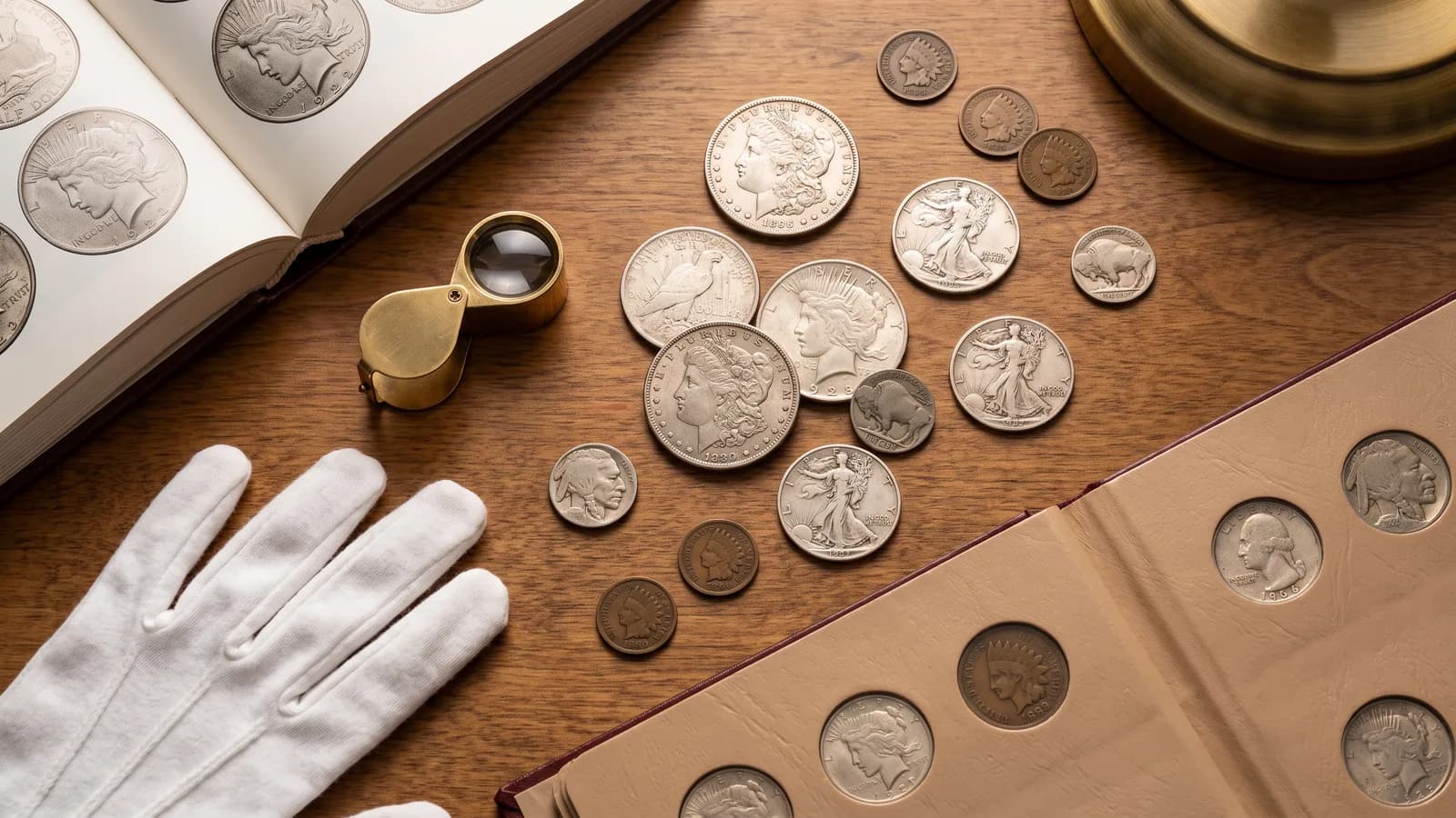 Coin Collecting Glossary: 50 Terms Every Collector Should Know