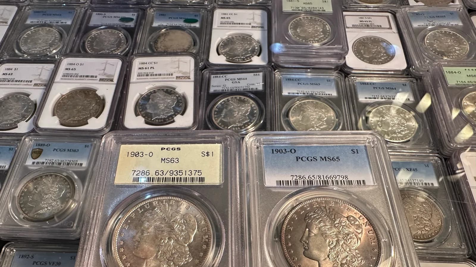 Coin Grading Companies: Which to Trust and Which to Avoid