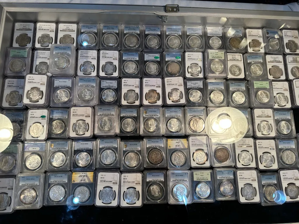 A tray of Morgan silver dollars in PCGS and NGC grading slabs laid out in rows inside a lit display case